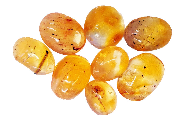 Les vertus de l'ambre, résine fossilisée de couleur jaune d’or à blanc et brun rouge.