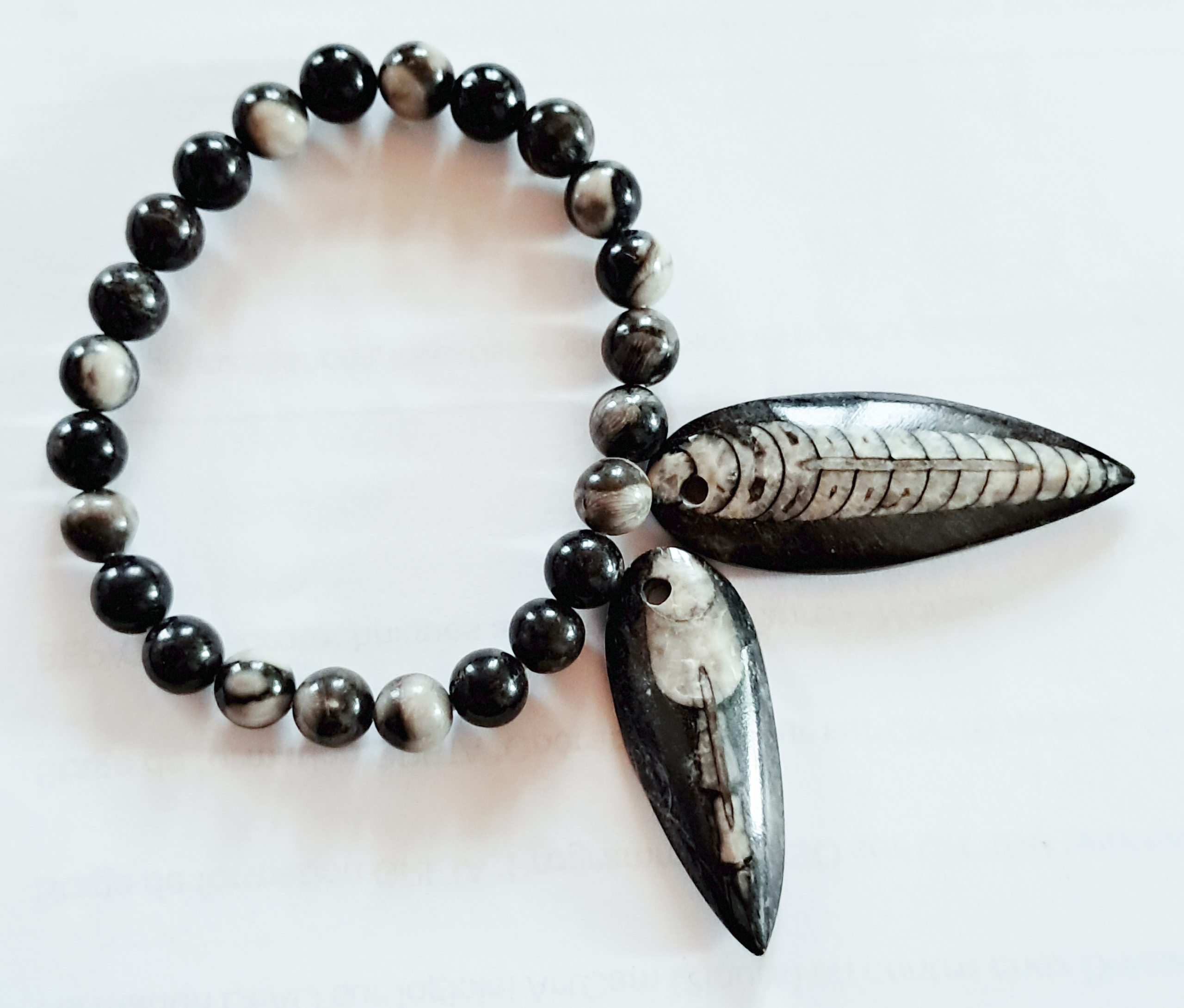 Orthoceras, fossile devenu roche, de couleur blanc, gris et noir.